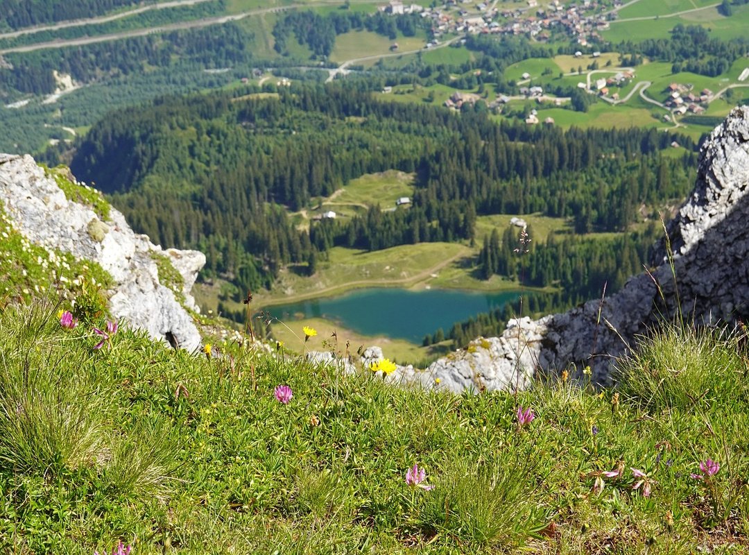 Tgarchivegaming Technology Hacks by Thegamearchives