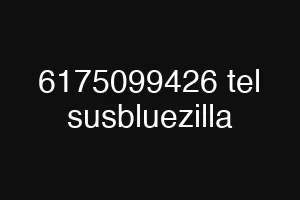 6175099426 tel susbluezilla