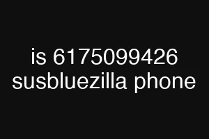 is 6175099426 susbluezilla phone