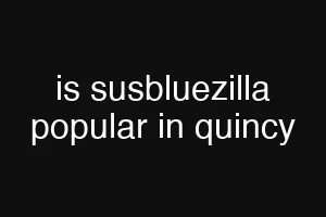 is susbluezilla popular in quincy